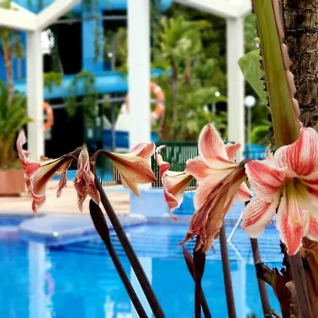 El Estudio De La Playa Benalbeach Holidays Deluxe Benalmadena