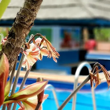 El Estudio De La Playa Benalbeach Holidays Deluxe Apartment